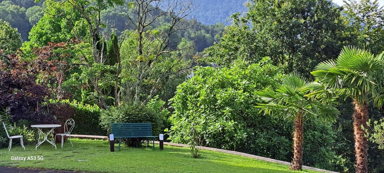 Jardin Des Chats Bed & Breakfast *
